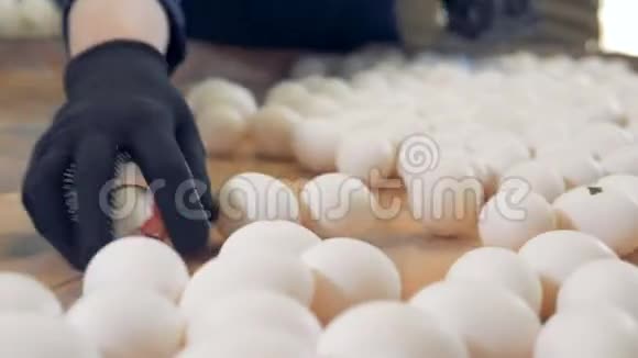 工人在鸡蛋分拣厂包装新鲜鸡蛋视频的预览图