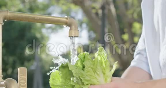用水冲洗生菜的慢镜头视频的预览图