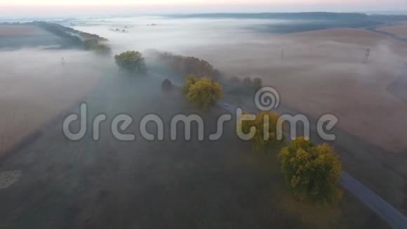 美丽的鸟瞰道路与驾驶汽车早晨的田野覆盖雾在日出乌克兰视频的预览图