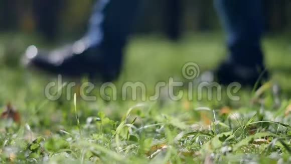 阳光明媚的一天一个人在草地上慢镜头的闪光效果视频的预览图