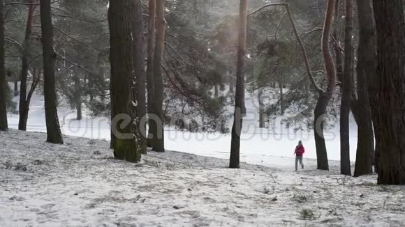 在寒冷的冬季森林里慢跑的女跑步者穿着温暖的运动服装和手套视频的预览图
