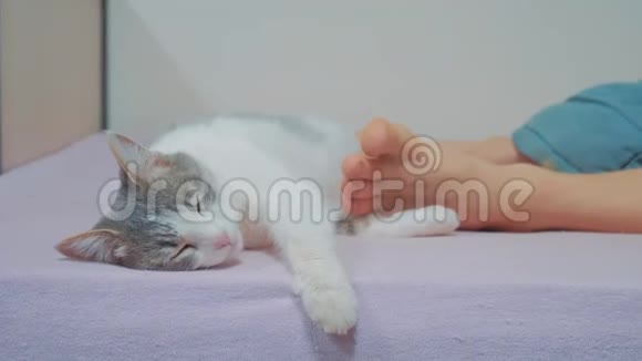 猫的生活方式是睡在主人的脚边老人的猫和腿睡在床上搞笑视频猫视频的预览图
