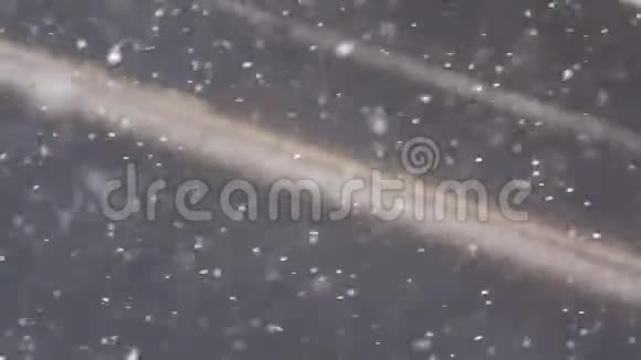 雪花落在冬天的路上视频的预览图