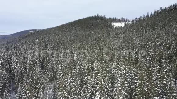 从空中掠走的雪山和森林视频的预览图