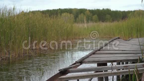 一个木码头码头在夏日阳光明媚的湖面上蓝天白云湖面视频的预览图