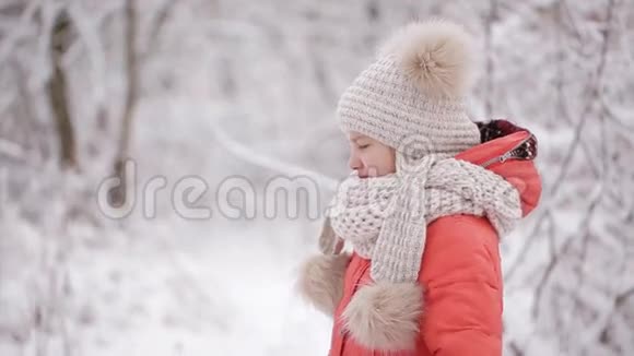 可爱的小女孩在冬天的公园里哭眼泪从他的眼睛里流出来视频的预览图