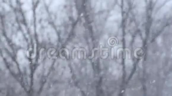 大雪纷飞背景中有模糊的黑色树枝视频的预览图