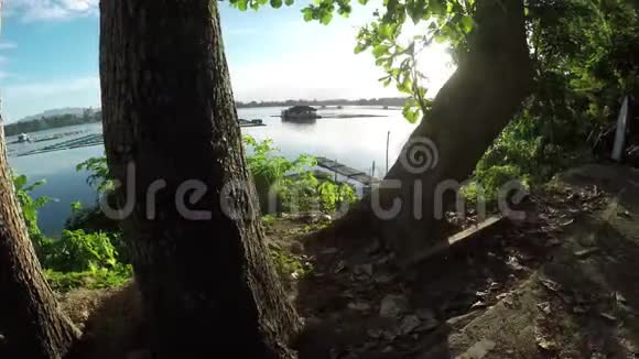 日落时树木的轮廓装饰了湖景视频的预览图