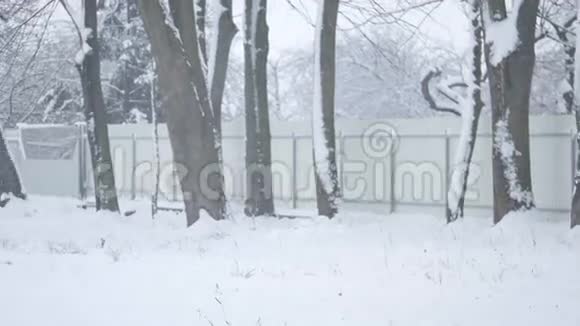 冬天公园里积雪覆盖着树木视频的预览图
