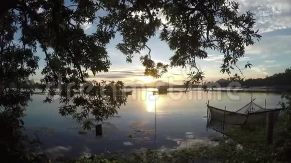 日落时树木的轮廓装饰了湖景视频的预览图