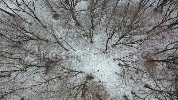 从空中俯瞰冬天的森林和林间空地视频的预览图