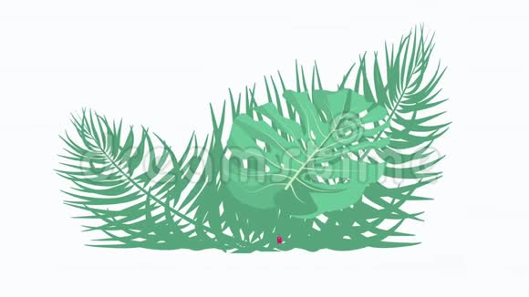 口罩以防止冠状病毒旅行热带树叶背景上的一组旅行物品隔离在白色上视频的预览图