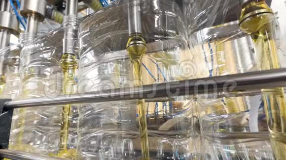 工厂生产设备将葵花油灌装到瓶子里4K视频的预览图