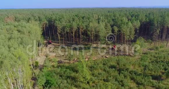 砍伐森林破坏环境破坏生态视频的预览图