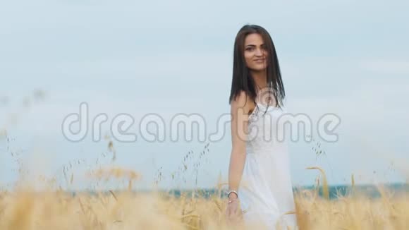 浪漫的女人走在金色的大麦地视频的预览图