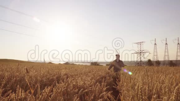 日出时一个农民用耙子穿过麦田视频的预览图
