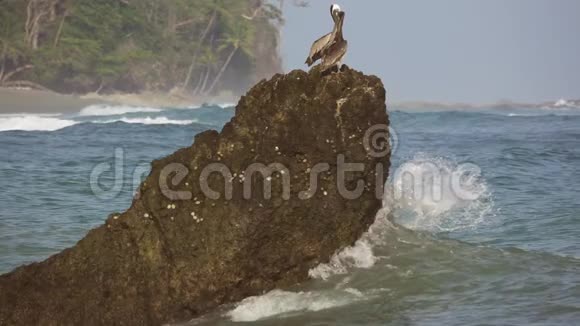 波浪破碎时在岩石上缓慢移动视频的预览图