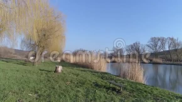 在阳光明媚的一天从湖滨起飞靠近匈牙利萨里萨普的一个小渔村视频的预览图