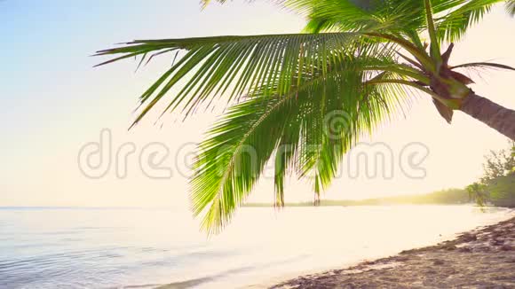 年轻女子在热带异国海滩上奔跑暑假视频的预览图