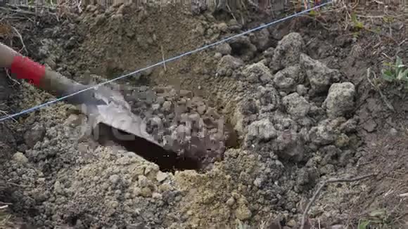 前景中的铲子陷在泥土里一个人在模糊的背景下挖土视频的预览图