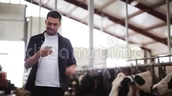 在奶牛场用智能手机和奶牛发短信视频的预览图