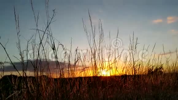 从德国卡尔卡尔的蒙雷堡穿过草地的日落视频的预览图