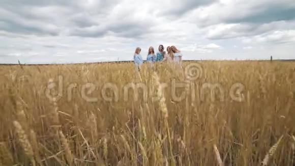 五个金发女孩在一片金色的麦田里笑看着镜头视频的预览图