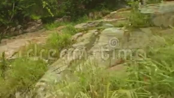 热带岩石中小山河景观视频的预览图