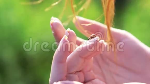 瓢虫在软女人的手上慢慢地视频的预览图