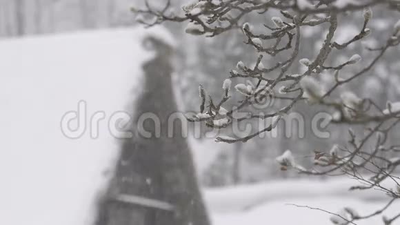 冬树降雪在东京日本视频的预览图