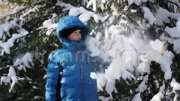 在阳光明媚的日子里少年从树枝上扔雪视频的预览图