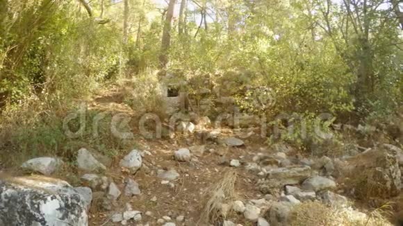 地中海地区森林中古城奥林波斯遗址中的多边形砖石特写视频的预览图