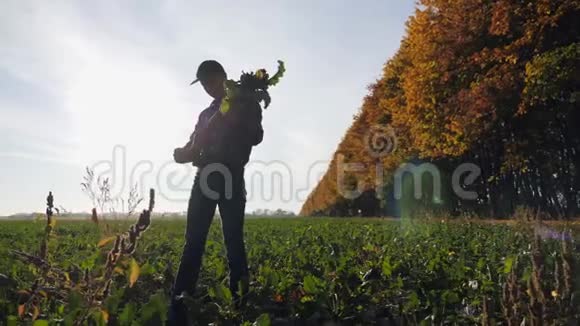一个拿着甜菜根植物的人视频的预览图