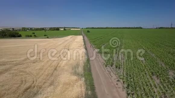 女孩沿着农田之间的道路骑行视频的预览图