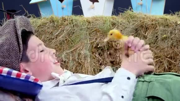 一个穿着时髦的乡下男孩在干草堆里玩鸭子和鸡背景是彩色的鸟屋视频的预览图