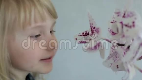 一个漂亮的金发小女孩闻到了粉红色兰花的白色气味视频的预览图