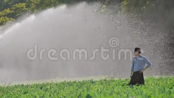 在喷水灭火系统工作期间站在种植园的农民视频的预览图