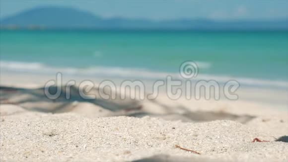 在热带海滩上一棵棕榈树椰子的特写镜头落下来在炎热的夏季阳光下它被分成两部分视频的预览图