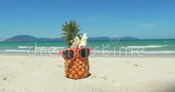 在热带海滩上菠萝在炎热的夏季阳光下戴上太阳镜在热带异国海岸上拍摄一幅水果特写视频的预览图