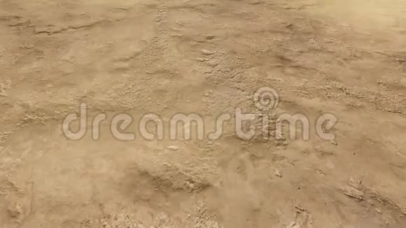 沙漠中黄金的真主之名视频的预览图