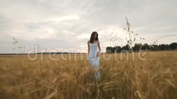 幸福自然暑假假期和人的概念穿着白色连衣裙的年轻女子沿着麦田漫步视频的预览图