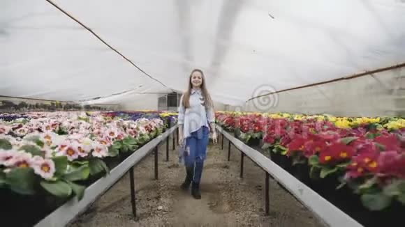 漂亮的女孩走着在温室里摆姿势摸着花盆视频的预览图