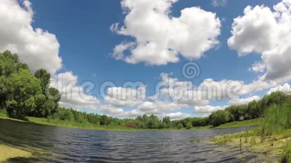 蓝天下的一个森林湖有云视频的预览图