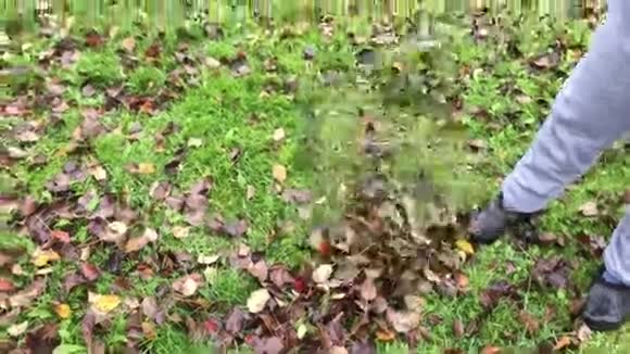 秋天清理树叶视频的预览图