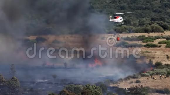 向消防队员附近的野地投掷水的直升机视频的预览图