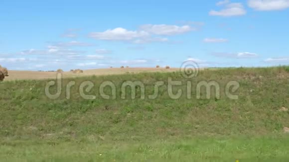 夏季在一片丘陵农村地区的运动与干草的关系视频的预览图