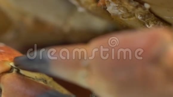 商店里的鱼和螃蟹在冰上特写视频的预览图