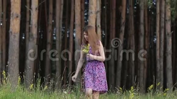 女孩在树林里摘花在公园里视频的预览图