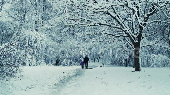 父亲和孩子在冬天的森林里散步视频的预览图