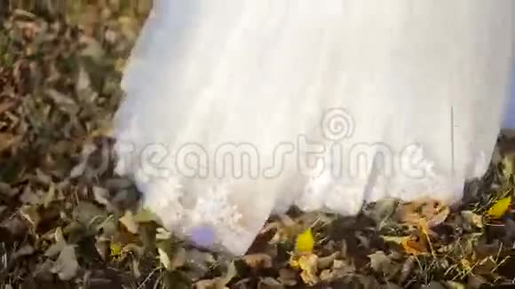 秋天黄叶白色连衣裙婚礼视频的预览图